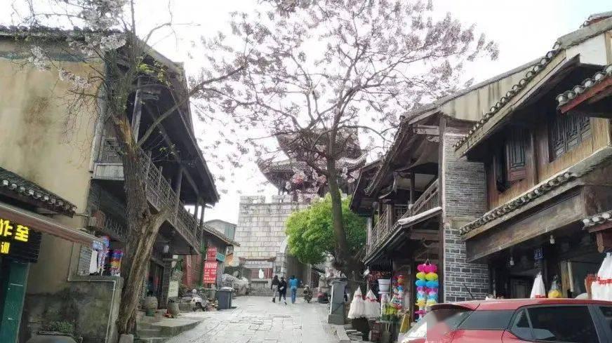逃离壳牌岛